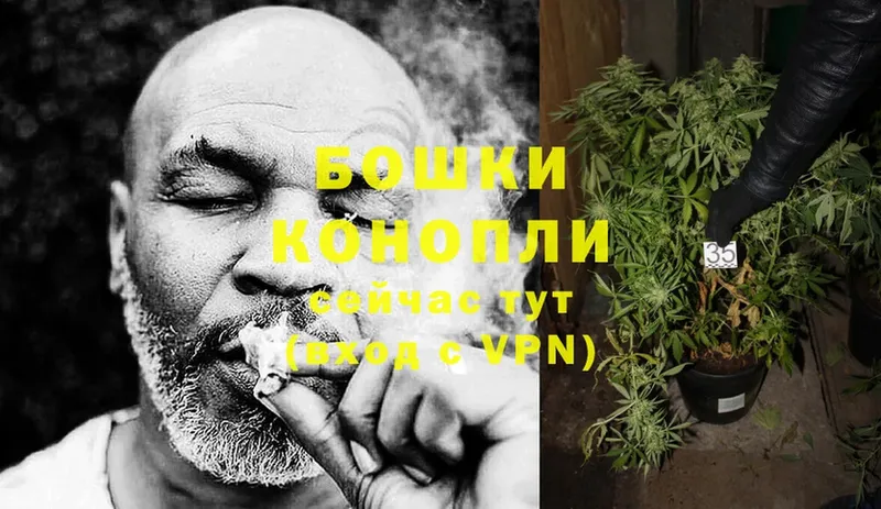 Бошки марихуана THC 21%  кракен рабочий сайт  Бахчисарай 